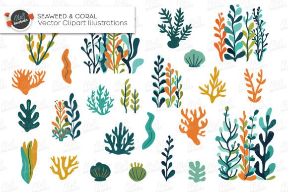 Seaweed and Coral Vector Clipart: A Practical Review for Designers