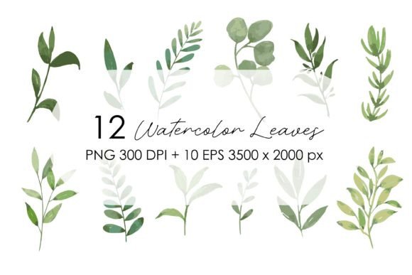 Set of Watercolor Green Leaves Elements: Elevating Modern Design with Botanical Authenticity